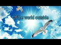 Skyline Pigeon - Lyrics - Elton John🎵