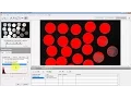 NI Vision Threshold Grayscale to Binary