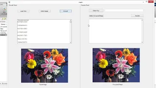IMAGE STEGANOGRAPHY USING LSB ALGORITHM