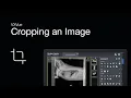 VXVue Software Tutorial How to Crop an X-Ray Image