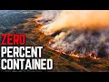 A Statewide Emergency Is Now Active In Washington And The Reality On The Ground Is Terrifying