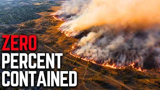 A Statewide Emergency Is Now Active In Washington And The Reality On The Ground Is Terrifying