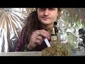 Zen Leaf Cannabis Delivery Review