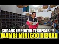 Download Lagu GREBEK ! GUDANG BARU BURUNG IMPORT TERBESAR DI JAKARTA PROMO WAMBI MINI CUMA 600 RIBUAN HARI INI