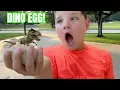 Dinosaur Adventure for Kids 🦖 12 Dino Eggs Found! Caleb’s Epic Egg Hunt \u0026 Dinosaur Learning
