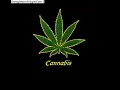 Celly cel - Its Goin Down Tonight