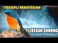 Download Lagu MASTERAN TLEDEKAN /SULINGAN GUNUNG | TERAPI BURUNG TLEDEKAN DENGAN SUARA AIR