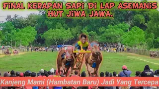 Download Final Kerapan Sapi Di Lap Asemanis HUT Jiwa Jawa, Kanjeng Mami (Hambatan Baru) Jadi Yang Tercepat. MP3