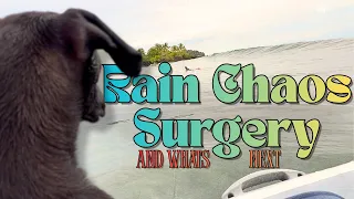 Rain, Chaos & A Puppy Surgery!? | EP147 HD 1080P