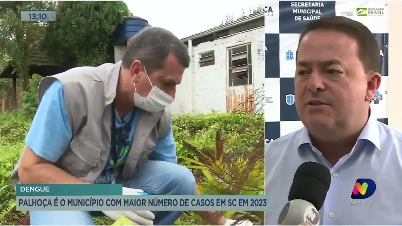 Palhoça é o município com maior número de casos de dengue em SC em 2023
