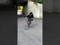 Download Lagu MEGADETH's Dave Mustaine learns how to ride a bike