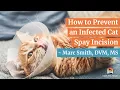 How to Prevent an Infected - Marc Smith DVM MS