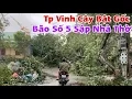 Download Lagu Bão Số 5 Kajiki Gió Mạnh Sập Luôn Nhà Thờ Cây Cối Bật Gốc Như Tận Thế | Đỗ Hoài Thương