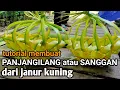Download Lagu tutorial over het maken van longilang/sanggan van gele kokosbladeren