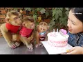 Download Lagu Wow Dodo Donal Very Surprise To Celebrate Moly's Birthday | Moly Happy With Birthday Cake
