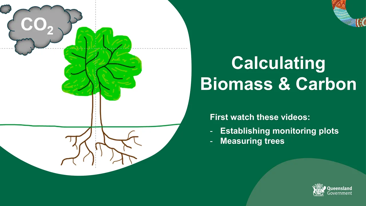 Calculating Tree Biomass and Carbon Storage Methods