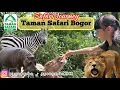 Download Lagu Taman Safari Bogor | Taman Safari Bogor Terbaru