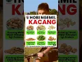 Download Lagu Suka Ngemil Kacang.? Ini dia Porsi Yang Baik Buat Ngemil Kacang. #shorts #viral #tipsdiet