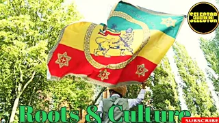 roots and culture riddim reggae vibes mix 2024 selector doj jesse royal jah lil