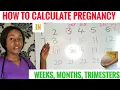 How to calculate pregnancy weeks how to calculate pregnancy months