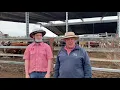 2021 Moss Vale Cattle Sale
