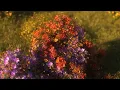 HUMBE - Te Lo Prometo (Lyric Video)
