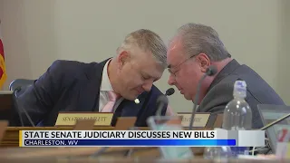 West Virginia State Senate Judiciary discusses new bills involving ICE inmates illegally obtaining