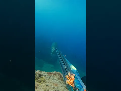 Nunca sabes lo que puede pasar...