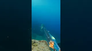 Nunca sabes lo que puede pasar...