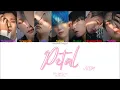 VICTON (빅톤) - Petal [Colour Coded Lyrics Han/Rom/Eng]