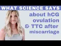 TTC After Miscarriage Ovulation hCG