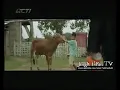 Iklan Marjan 2013 Part 1