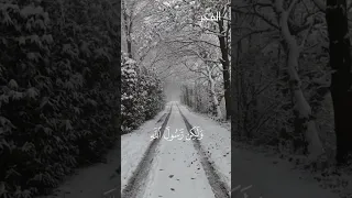 سوره الاحزاب سيد سعيد تلاوه رائعه 