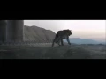 Download Lagu Shakira - Perro Fiel (Official Vídeo) ft. Nicky jam