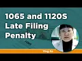 1065 and 1120S Late Filing Penalty