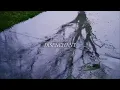 Download Lagu Afnanation - DISENCHANT