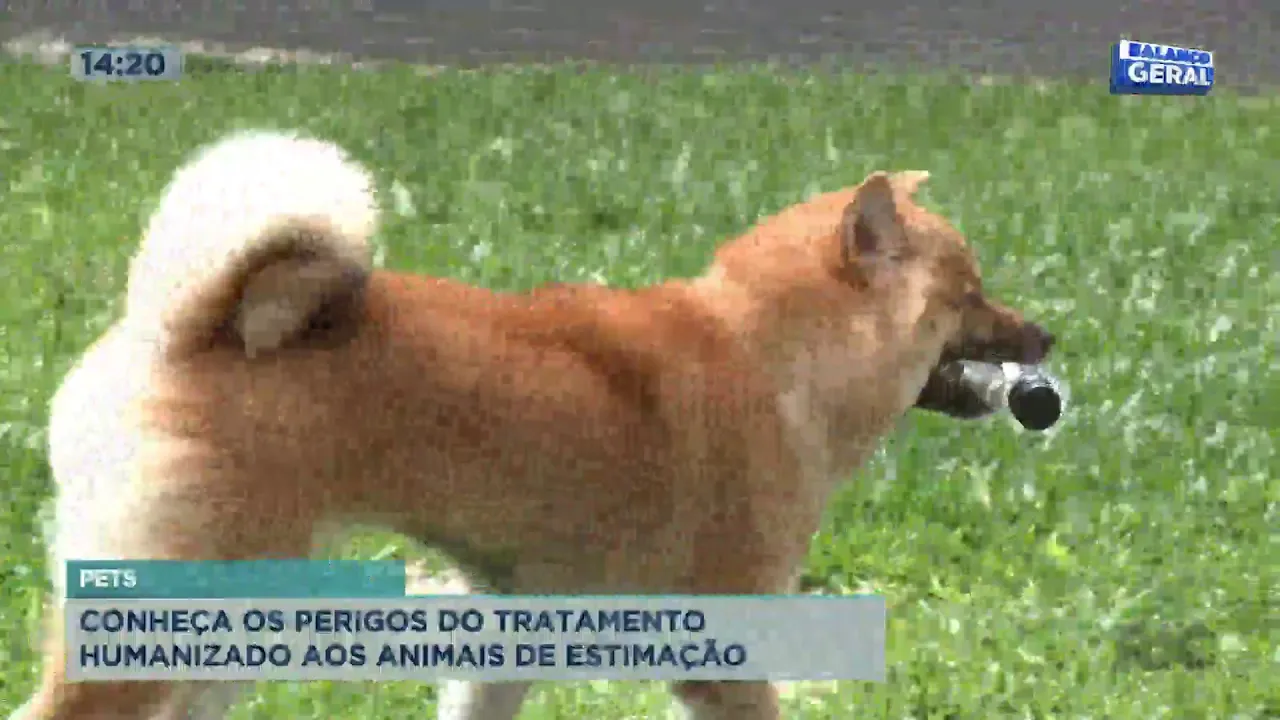 Balanço Geral Oeste Ao Vivo | Assista à íntegra de hoje - 17/02/2021