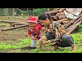 Download Lagu Single mother Ly Tieu Ca weeds in her vegetable garden