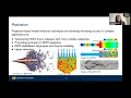 DDPS Data-driven balancing transformation for predictive model order reduction