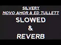 Silvery-Novo Amor & Ed Tullett (SLOWED & REVERB)