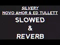 Silvery-Novo Amor \u0026 Ed Tullett (SLOWED \u0026 REVERB)