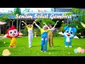 Download Lagu Senam Sehat Gembira ♪ Senam anak-anak TK dan PAUD ♪ Lagu Senam anak populer ♪ BabyZu