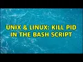 Unix Linux kill PID in the bash script 2 Solutions