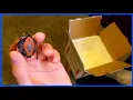 Ordering A Rare Baby Turtle In The Mail