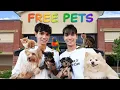 WE OPENED A FREE PET STORE