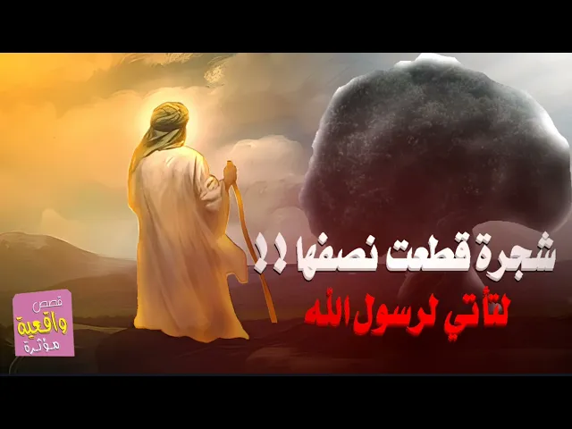 ⁣قصة الشجرة التي قطعت نصفها لتأني الى رسول الله