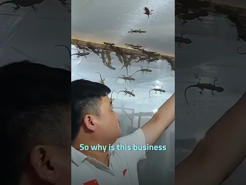 Strange Way To Get Rich In China 😨
