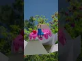 اغنية البكلة اسيل ومراد
