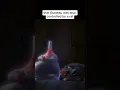 So Gusteau was also controlled by a Rat
