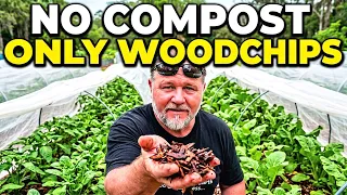 This Garden Was Saved By Woodchips (No Compost Needed)